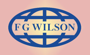 ✓ FG-Wilson 00000-00013 Запчасти Перкинс / Вилсон 